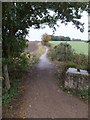 TL1511 : Bridleway leading to Ayres End Lane by David Smith
