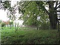 Community Woodland off Plotcock Road