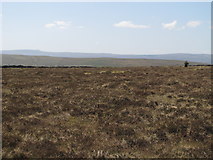 NY7647 : Hesleywell Moor west of Cleugh Head by Mike Quinn