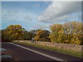 Autumnal Scene in Upper Langwith