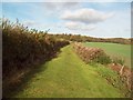 The Archaeological Way near Upper Langwith