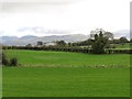 Farmland in the Townland of Kiltarriff