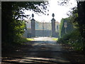 Inside The Lodge gates, Newmarket