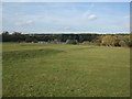 View from car park at Hainault Forest Country Park