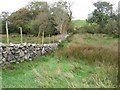 Footpath by wall