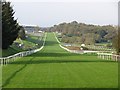 Hamilton Park racecourse