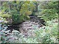 Bridge abutment, Dean Castle Country Park