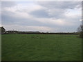 Farmland, Welbury Grange