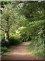 Path, Brunel Woods