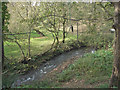 The Afon Cynffig in woodland near Pyle