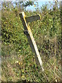 Concrete Footpath Sign