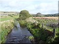 Cummock Burn, Dalmellington