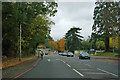 A21 towards Bromley