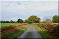 Wood Lane towards Common Lane