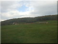 Farmland, Quarry Hill