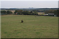 View towards Blidworth Bottoms