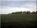 Farmland near Gypsy Lane