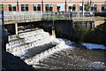 Gundry Weir, Bridport