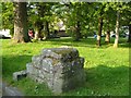 Mounting block, North Bovey