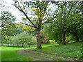 Pathway down to Pittencrieff Glen