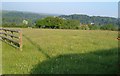 Grass field, Sweekey Moor