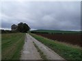 Track to Green Lane cottage