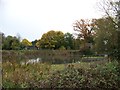 Warnham Nature Reserve