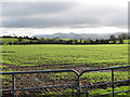 Cropland east of Drumgreenagh Road