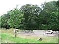 Rubble near Ballinluig