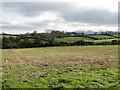 Farmland east of Ardaragh Road