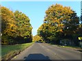 Autumn colour by the A4128