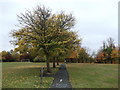 Footpath in Duppas Hill Recreational Ground