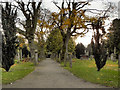 Greyfriars Burial Ground