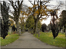 NO1223 : Greyfriars Burial Ground by David Dixon