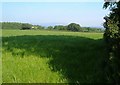 Grass field near Greenawell