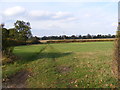 Fields near to Church Farm Bungalow