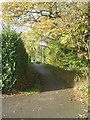 Footpath - Northolme Avenue