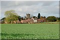 Across a Field of Rape to Houses and Church at Church Leigh