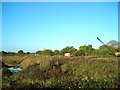 A peep over the hedge at Rixton claypits (with cranes)