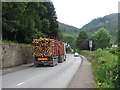 Another load of timber