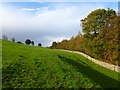 Pasture and woodland, Gilling