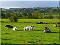 Pasture, Gilling