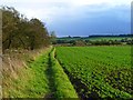 Farmland, Gilling