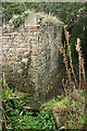 Wraxall: ruined building