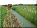 Drainage ditch, fields near Burnham