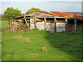 Derelict farm buildings, Burnham