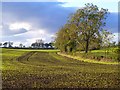 Farmland, Barton