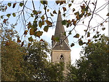 TQ5786 : Bell tower of All Saints Church Cranham Essex by Richard Dunn