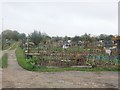 Mayfield Road Allotment