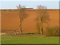 Farmland, Horley